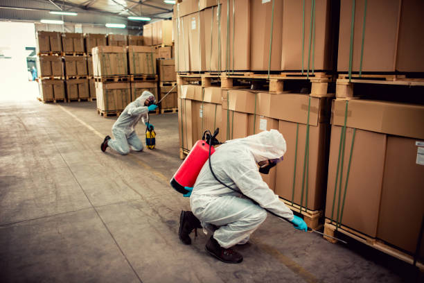 Best Pest Inspection Near Me  in Haskell, OK