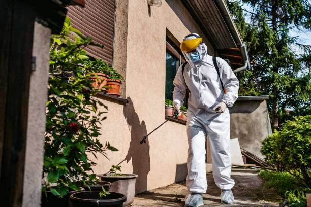 Best Pest Control Near Me  in Haskell, OK