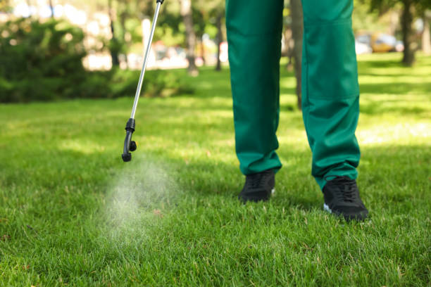 Best Termite Control Services  in Haskell, OK