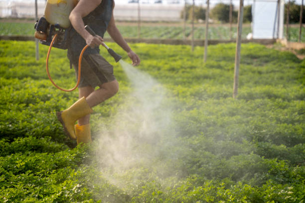 Best Mosquito Control Services  in Haskell, OK