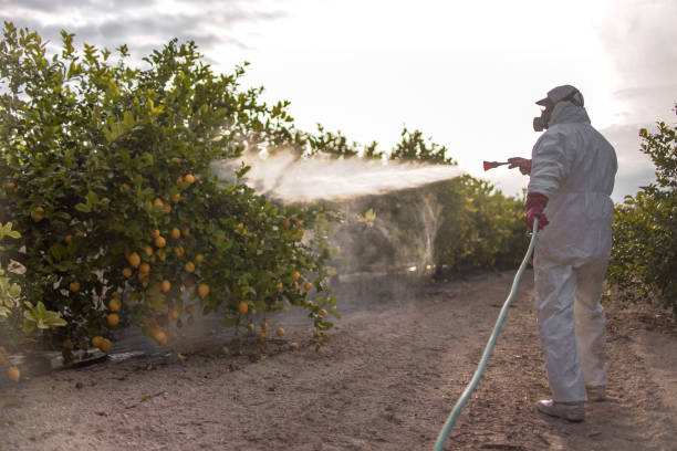 Best Bed Bug Extermination  in Haskell, OK