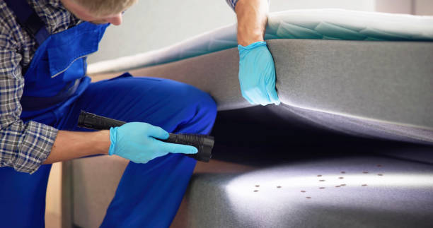 Best Affordable Pest Control Services  in Haskell, OK