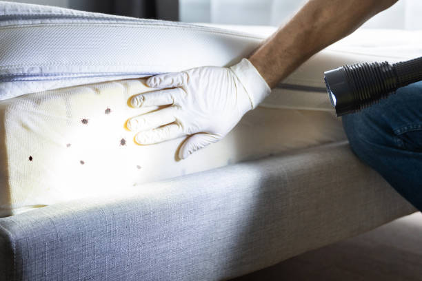 Best Pest Prevention Services  in Haskell, OK