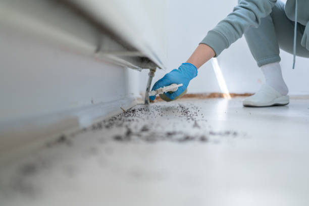 Best Commercial Pest Control Services  in Haskell, OK